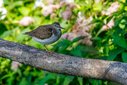 R7FM7583-DxO_DeepPRIME_3.jpg