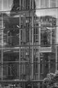 Z63_5925.jpg