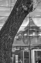 Z63_5946.jpg