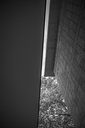 Z63_5967.jpg