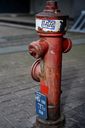 Z63_6066.jpg