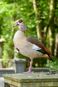 750_4731-DxO_DeepPRIME_3.jpg