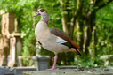 750_4733-DxO_DeepPRIME_3.jpg