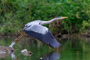 C7D_0147-DxO_DeepPRIME_3.jpg