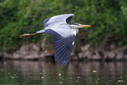 C7D_0154.jpg