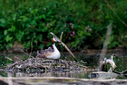 C7D_1146.jpg