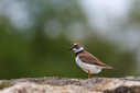 C7D_0280.jpg