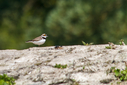 C7D_9566.jpg