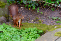 750_4834-DxO_DeepPRIME_3.jpg