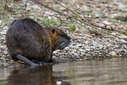 C7D_0510.jpg