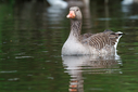 C7D_0043.jpg