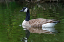 C7D_0110-DxO_DeepPRIME_3.jpg