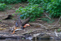 C7D_0127.jpg