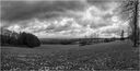 Dateiname=EM016712-Pano_openWith_2.jpg
Dateigröße=520KB
Abmessungen: 1504x764
hinzugefügt am: 02. April 2020 EM016712-Pano_openWith_2.jpg