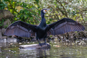 C7D_3648-DxO_DeepPRIME_3.jpg