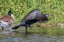 C7D_3710-DxO_DeepPRIME_3.jpg
