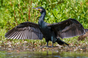 C7D_3738.jpg