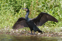 C7D_3745.jpg