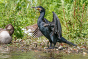 C7D_3752-DxO_DeepPRIME_3.jpg