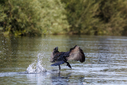 C7D_3856.jpg