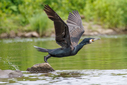 C7D_4512.jpg