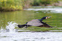 C7D_4516.jpg