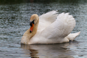 C7D_0977.jpg