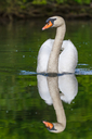 C7D_1698.jpg