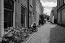 Dateiname=NZF_5379.jpg
Dateigröße=548KB
Abmessungen: 1000x667
hinzugefügt am: 30. Juni 2025 NZF_5379.jpg