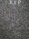 Dateiname=EM130889.jpg
DateigröĂe=709KB
Abmessungen: 563x750
hinzugefĂŒgt am: 06. Februar 2021 EM130889.jpg