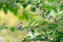 Z63_0198-DxO_DeepPRIME_3.jpg