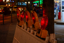 A7R03692-DxO_DeepPRIME_3.jpg