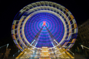 A7R03757.jpg