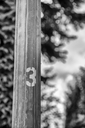 C7D_1577-Bearbeitet.jpg