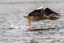 C7D_1215.jpg
