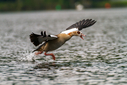 C7D_1217-DxO_DeepPRIME_3.jpg