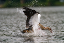 C7D_1218-DxO_DeepPRIME_3.jpg