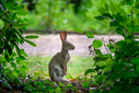 Z63_8043-DxO_DeepPRIME_3.jpg