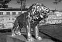 A7R01726.jpg