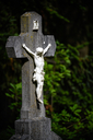 NZF_5808.jpg
