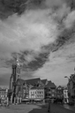 NZF_6191.jpg
