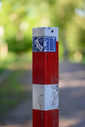 750_4894.jpg