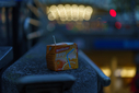 A7R02171.jpg