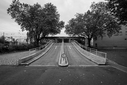 A7R02384.jpg