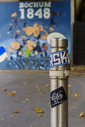A7R02444.jpg