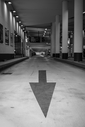 A7R02448.jpg