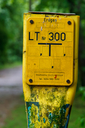 C7D_0718.jpg