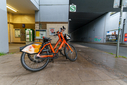 C7D_0866-DxO_DeepPRIME_3.jpg