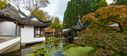 Dateiname=DSC00312-Pano.jpg
Dateigröße=1160KB
Abmessungen: 1250x550
hinzugefügt am: 05. Oktober 2025 DSC00312-Pano.jpg