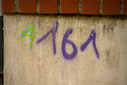Z63_6289.jpg